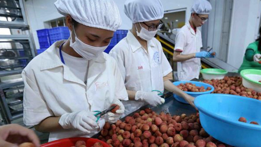 China set to increase agricultural imports from Vietnamese market